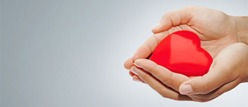 La donazione